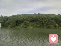 在一个变乱交织的时代，看清社会现实，做好本职，稳住心态，慢慢往前走，一切都会好起来的，只是需要时间。