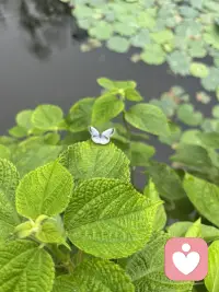 只要你不跟胆小的人一起去冒险，不和小气的人谈钱，不在好嫉妒的人面前自我表现，不和偏执的人发生争论，不跟老板比谁说了算，那就是很好地避开了别人的不美好。配图