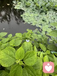 只要你不跟胆小的人一起去冒险，不和小气的人谈钱，不在好嫉妒的人面前自我表现，不和偏执的人发生争论，不跟老板比谁说了算，那就是很好地避开了别人的不美好。配图