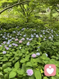 只要你不跟胆小的人一起去冒险，不和小气的人谈钱，不在好嫉妒的人面前自我表现，不和偏执的人发生争论，不跟老板比谁说了算，那就是很好地避开了别人的不美好。配图