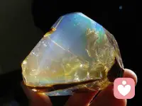 习惯了独自掌舵的人，往往更难为谁轻易调转航向。单身久了，不是不想靠岸，是再也不愿将就着停泊。可人终究是趋暖避寒的，婚姻也好，独身也罢，幸福才是唯一的罗盘。若一段关系已成泥沼，倒不如一个人守着一窗月色。

独处不会吞没你，糟糕的伴侣却真能蚀掉你的光。独居可不可怕？全看你自己是谁——若你身强体健，心有山水，性格爽朗，钱包不慌，那独居便是洒满阳光的庭院，每一寸时光都任你挥洒；若你体弱多病，内心荒凉，手头拮据，又常自怜自伤，那独居便是一间空荡荡的屋子，连呼吸都带着回响。

但无论群居还是独处，生命的每一刻终归要自己接住。不拿热闹当解药，也不拿孤独当借口。认真爱自己，好好过日子，才不算辜负这趟人间。