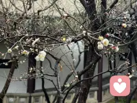 孤独与独处，从来不是同一件事。

孤独是向外伸出手，却发现无人回应；独处是向内转过身，与自己相对而坐。孤独让人心慌，总想抓住点什么来填补空白；独处让人心安，因为你知道自己才是那个不会离开的人。

孤独是被动的——是关系的缺席；独处是主动的——是自我的在场。当你学会独处，你就不会再被孤独追赶。你只是安静地和自己待在一起，听见自己的声音，也允许自己的沉默。配图