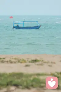 请允许一切发生。
花有花期，人有时日，不必焦虑，不必强求。
走好自己的路，亮自己的光，少管别人的事。
你，有在好好照亮自己吗？