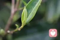 比起独自赶路，更爱和同频的人并肩

你说你的进步，我聊我的感悟

在互相陪伴里，一起接住生命里每一次成长的喜悦，这种感觉真的太暖了[爱心]