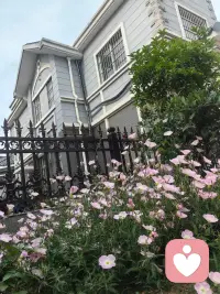 用使命点亮人生
 
早上听老师直播，有句话一下戳中心里：“每个人来到这世上，都带着使命！”
 
         细想想，确实！

要是没个目标，整天稀里糊涂地活着，那滋味可不好受，但心里要是装着目标和梦想

时刻感受着自己的价值，日子才过得实实在在、满满当当！配图