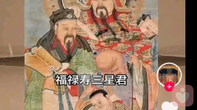 慵懒考拉🐱
