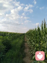 人到中年，慢慢懂得，很多心事，不方便跟家人说，不好跟朋友讲，所有的委屈、纠结、内耗，只能自己默默消化。
 
生活里一地鸡毛，感情里进退两难，心里积攒了太多的情绪，只是需要一个安静的人，安安静静听自己说完心里话。
 
我是平台倾听师，愿意做你的树洞。
不评判、不说教、不急于给答案，安静接纳所有的情绪，陪你慢慢梳理心里的纷乱。
如果你心里有放不下的心事，无处倾诉，可以来找我聊聊。
 
💡温馨提示：仅情绪陪伴倾诉，不属于心理咨询与诊疗，心理疾病请前往正规医院就诊。