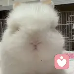 还敢动心吗的头像