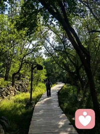 把自己的心境放进大自然的风景中，听风，听雨，听内心最深处的声音，让身心归于宁静，清醒重新认识自己❤️❤️