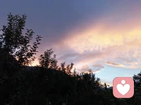 有饭可吃，要感恩；有床铺安睡，要感恩；有房屋栖身，也要感恩。能够听闻善法，要无比感恩；