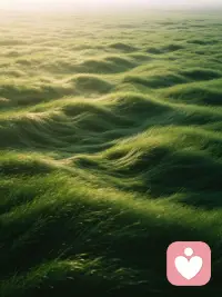 你有没有过这种感觉。
心里已经有答案了，然后专门找支持这个答案的信息看。
相反的意见自动忽略。
这个叫确认偏误。
关键期做决策特别容易犯这个错。
因为你太想找个确定的答案了，所以只看自己想看的。
但这样做出来的决定，往往有偏差。
做决策之前，先看看自己是不是在找证据而不是找真相。