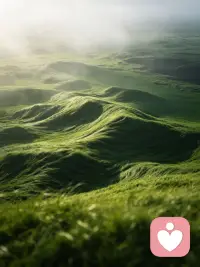 很多关系只能展现好的一面
·

你要稳、要强、要正能量、要一直往前走

可一段只能展现好的关系，是没有深度联结的

因为你知道一旦你不好了，这段关系可能就没了

所以只能一直演

演到最后，都不知道真实的自己是什么样了