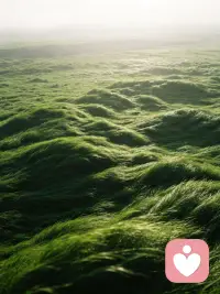 这周最大的感悟——很多创业者来找我，都说想解决问题

聊到最后发现，他们最需要的其实不是解决方案

是被看见、被接住、被允许脆弱

先被接住了，才有力量去解决问题
