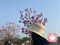 我们总在追逐，放不下心中执念。但殊不知得到的未必幸福，得不到的未必不幸。人总会美化那条没走的路，放下执念，顺其自然，想必会有属于自己的小确幸。