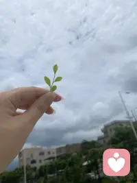 今天阴天，适合倾诉～配图