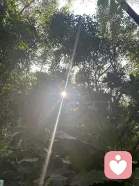 小时候跌倒了我们会自己爬起来，后来读书、工作了我们遇到挫折我们会鼓励自己继续努力终有一天成功，其实我们比想象中的更加勇敢。相信你可以的～👍