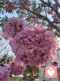 倾听的力量
