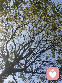 新的一天，不必被过往的情绪困住，允许一切发生，学着与生活和解。把目光放在身边美好的小事上，希望一朵花，一只鸟，一朵云，都能让你露出笑容。保持一份开朗松弛的心态，平凡的日子也会发光。愿你稳住心态，积极向上，善待自己。所有的美好，都会在前方慢慢和你相遇。