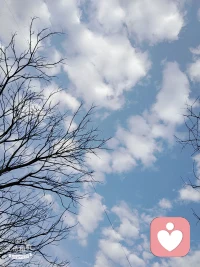 新的一天，不必被过往的情绪困住，允许一切发生，学着与生活和解。把目光放在身边美好的小事上，希望一朵花，一只鸟，一朵云，都能让你露出笑容。保持一份开朗松弛的心态，平凡的日子也会发光。愿你稳住心态，积极向上，善待自己。所有的美好，都会在前方慢慢和你相遇。