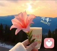 经历过一段特殊的经历，看透人间冷暖，你有被催债的经历吗？
