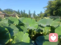 阳光依旧明亮，心底却藏着一缕挥不散的怅然。热闹归世间，心事归自己，一边好好生活，一边与情绪慢慢共处。