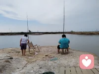 人生本该如此，有风雨，也会有微光。生活总有解不开的心结、无处安放的情绪。不必独自硬扛，愿意倾听你的喜怒哀乐。