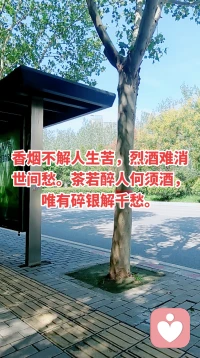 人生这条路，从来都没有一路平坦的坦途。起落是常态，遗憾是寻常，风雨总会不请自来。我们会撞见事与愿违的窘迫，会承受付出落空的失落，也会在奔波里陷入进退两难的迷茫，百般不如意，本就是生活原本的模样。
 
没有人能躲开接踵而至的坎坷，也无法强求万事顺着心意前行。纠结于已经发生的缺憾，沉溺在一时低谷的消沉里，只会困住自己前行的脚步。我们无法左右世事无常，却可以握紧自己看待生活的心态。
 
不必为一时低谷自我内耗，不必因些许失意郁郁寡欢。接纳世事难圆满，看淡起落与得失，带着乐观从容迈步。在低谷里蓄力，在风浪里稳住脚步，认真过好当下的每一天，积极奔赴往后的每一段路程，这便是穿越所有风雨最实在的真理。