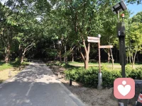 夏天徒步适度运动，你也会选择出汗吗？