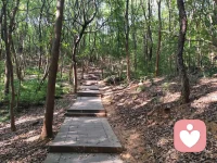 夏天徒步适度运动，你也会选择出汗吗？