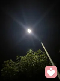 凌晨清醒的时刻，不必强迫自己入睡，接纳翻涌的思绪。