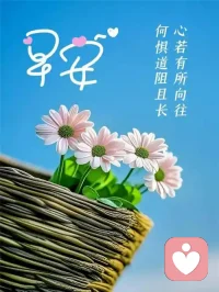 美好的一天开启