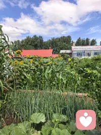 生活的路还要向前走，得失爱恨终会慢慢淡去。人不能一直停留在原地反复内耗，所有放不下的执念，终有一天会被岁月慢慢抚平。往后守好本心，好好善待自己。
