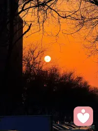 我们要懂心理学是什么，你自己的孩子，你可能只顾他吃了。你有没有在他一出生之后，经常陪着他聊聊天儿，一起玩耍，一起做一些事儿？比如你做家务，把他叫过来写作业的时候，你把他那作业复制一下。你看咱俩比赛看谁先写完，你跟他一块儿写。我们有多少家长会有这种心思叫做陪伴，你跟他一起成长，其实很多人说我们忙，因为孩子出生大多数都是人的起步期，就是工作上的起步期。可是你要知道吗？决定它最重要的就是10岁之前，10岁之前，你一生如果活60岁1/6，你活80岁1/8，100岁1/100，所以你拿出这点时间去塑造一个人，这才是属于你的产品