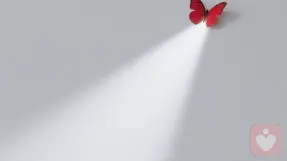好奇画师🦆倾听者