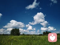 关怀万物，永葆童心 💖
以柔软之心善待世界，以纯真之眼看见美好🌸