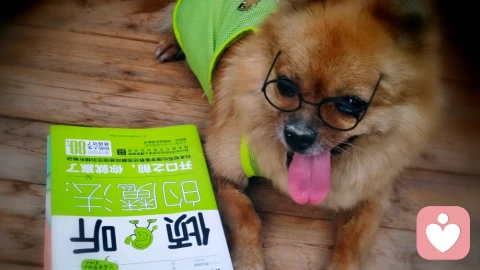 心理倾听为什么需要收费?真正值钱的从来聊天