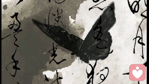 懂，是一种看见