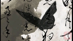 懂，是一种看见