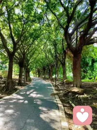 不用一直保持高效，偶尔疲惫、偶尔emo都没关系。人生不是一场必须冲刺的赛跑，累了就慢下来歇一歇，情绪没有对错，好好接纳自己就好。

很多焦虑都来源于想太多、顾虑太远。把注意力拉回当下，吃好一顿饭，睡好一觉，慢慢梳理手头的事，混乱的状态总会一点点理顺。