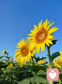 没有人可以回到过去重新开始，但任何人都可以从今天开始，去书写一个全然不同的结局。