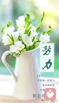 不是年轻才开心
而是快乐才年轻
每天给自一个开心的理由
花开花落都开心
日出日落都快乐
每天藏不住快乐的人是你呀