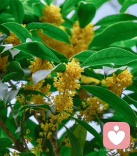 迎着晨光，奔赴日常。幸福从不在远方，而藏在细碎烟火里。认真感受当下，便是最好的生活。心怀暖意，不惧风霜，保持热爱，奔赴山海。愿你笑容甜甜，好运连连！加油！