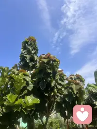 金九银十，
秋高气爽！

开启美好的一天❤️