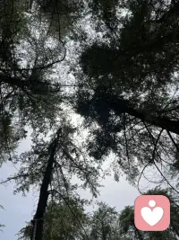 什么是蠢？
没有经济基础，却想要真爱。
没执行力，却想要发财。