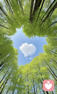 浪费时间力——这个词好好啊，把什么也不做说得理直气壮。
其实这段文字里最打动人的就是那句方圆五米内就有天然氧吧，我们总以为治愈需要出发、需要远方、需要花大价钱，但有时候真的就只是站在一棵树下发个呆。
夏天的重庆热得要命，找个有树荫的地方仰头看一眼，感觉也算给自己放个迷你假了。