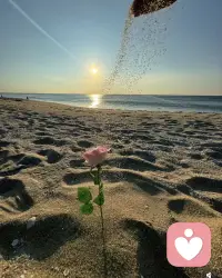 向阳而生的快乐🎊