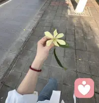 送你一份好心情～💗