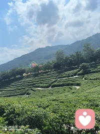 卸下伪装不必逞强，允许自己不必时刻无坚不摧，有些心里话，总要有处安放。