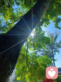 很多时候，人活的就是一股心气！！心气在，江山就在！配图