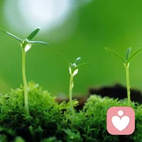 感受发生的一切

生活中发生的事情，都会带来不同的感受，给每个人的感受都是不一样的。

路上喝的一杯豆浆，中午吃的饭，下午买的一杯奶茶，品尝的西瓜，好吃的榴莲。它们都会给你，不一样的感觉。

而很多人，对生活发生的琐碎，并不会有任何感觉。也就切断了与感觉的联系，每天像机械一样活着。

如果放开感受，你会得到很多生活中美好的感受。

喝豆浆让身体舒服，午饭充实了身体，奶茶驱散了疲劳，吃西瓜很清爽，一口榴莲满满香糯柔软。

生活中美好随处可见，我们需要做的就是打开那扇感受的大门。配图